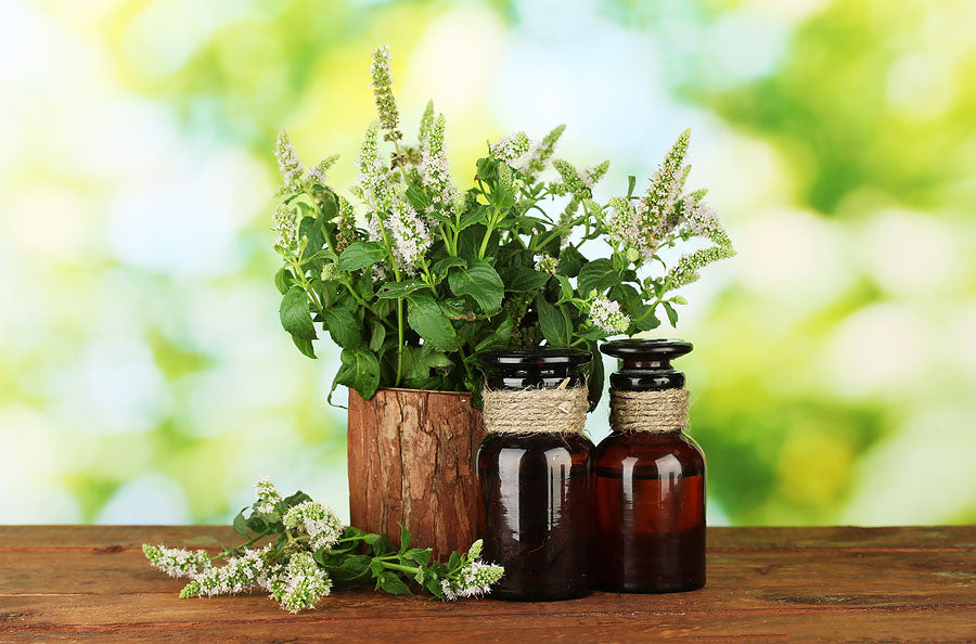 LE BIO : ROUTINE BEAUTÉ COMPLÈTE DE BASE